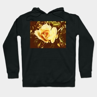 Faded Rose Hoodie